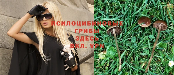 шишки Осинники