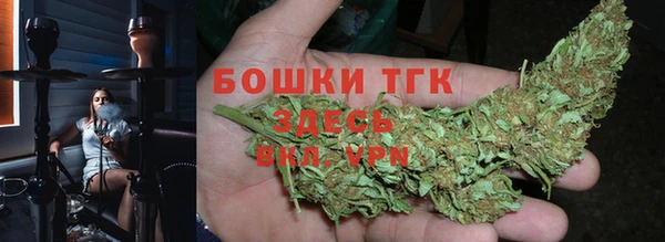 шишки Осинники