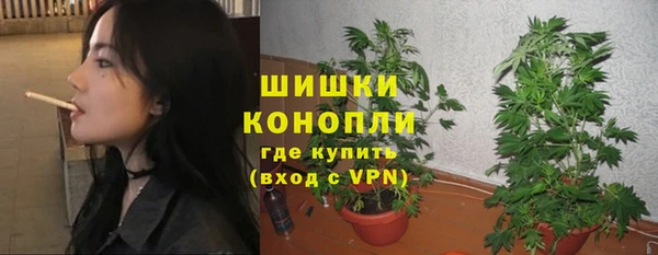 шишки Осинники