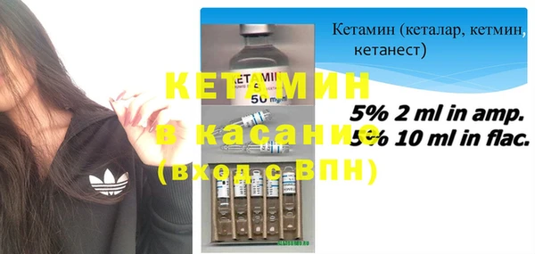 шишки Осинники