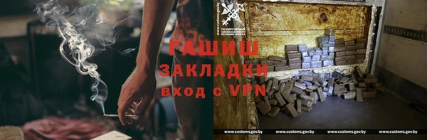 шишки Осинники
