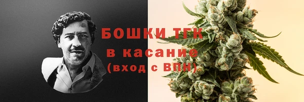 ECSTASY Болхов