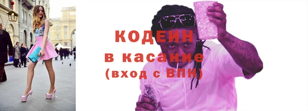 шишки Осинники