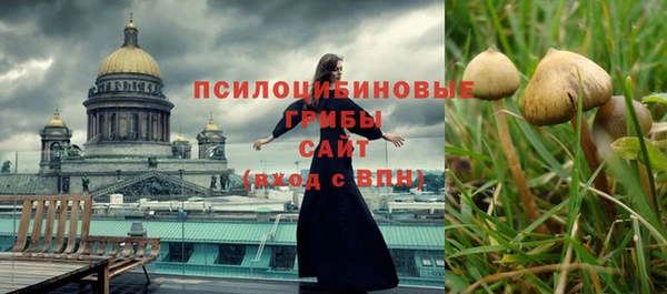 МДПВ Остров