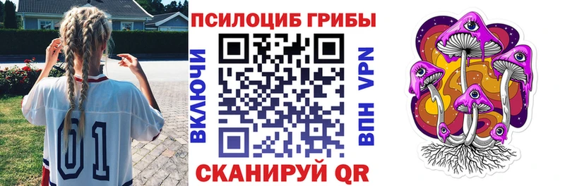 блэк спрут онион  Серафимович  Псилоцибиновые грибы Cubensis 